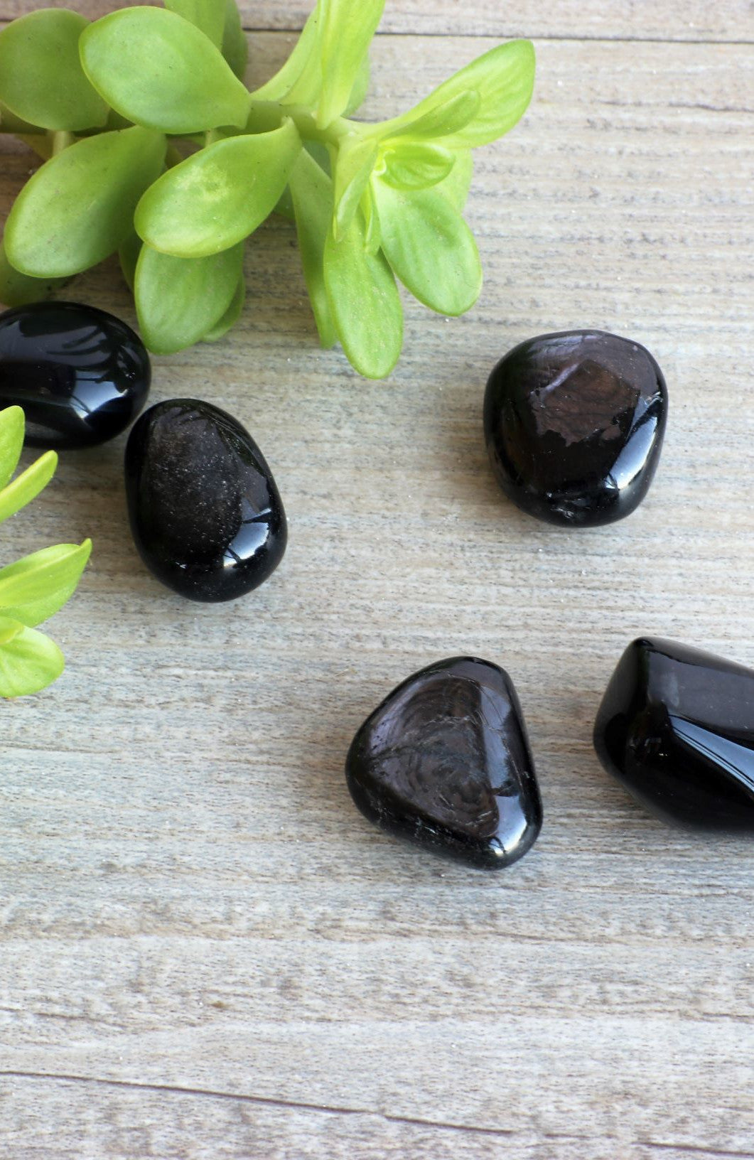 Hypersthene Tumbled Stone